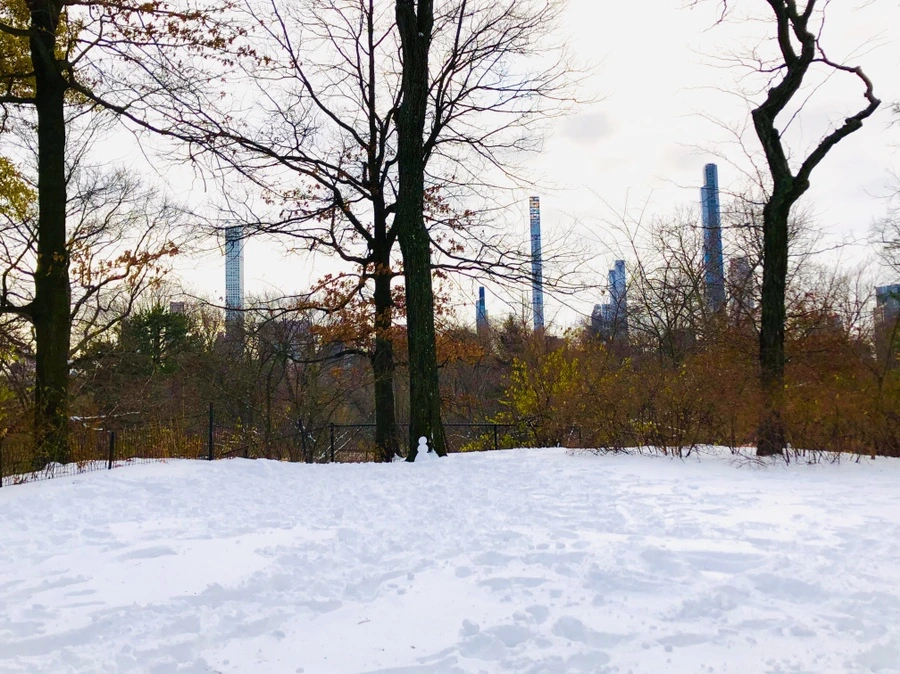 IMG_7335.jpg?type=w966