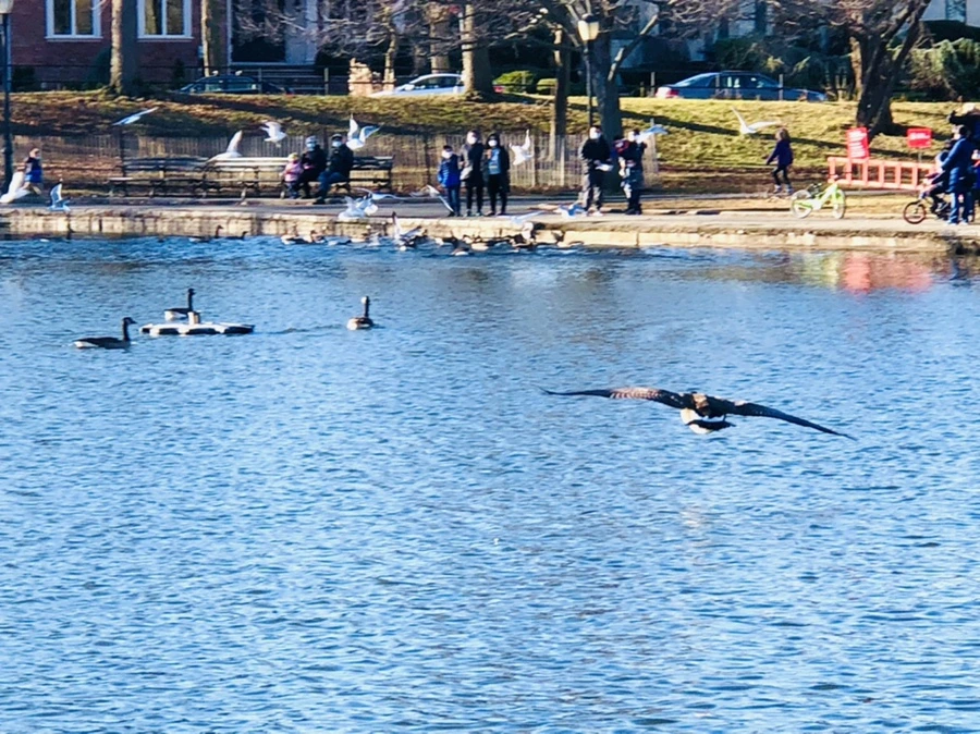 IMG_9252.jpg?type=w966