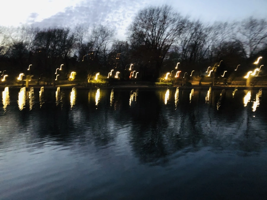 IMG_5414.jpg?type=w966