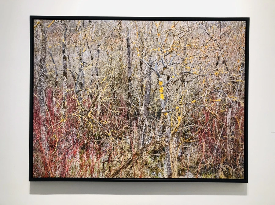 IMG_6655.jpg?type=w966