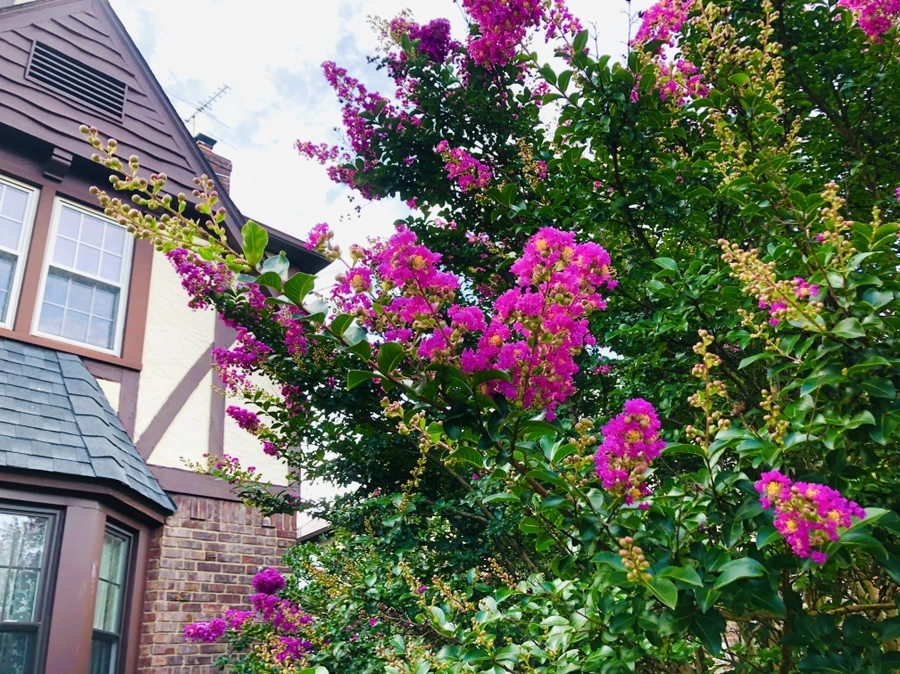 IMG_5677.jpg?type=w966