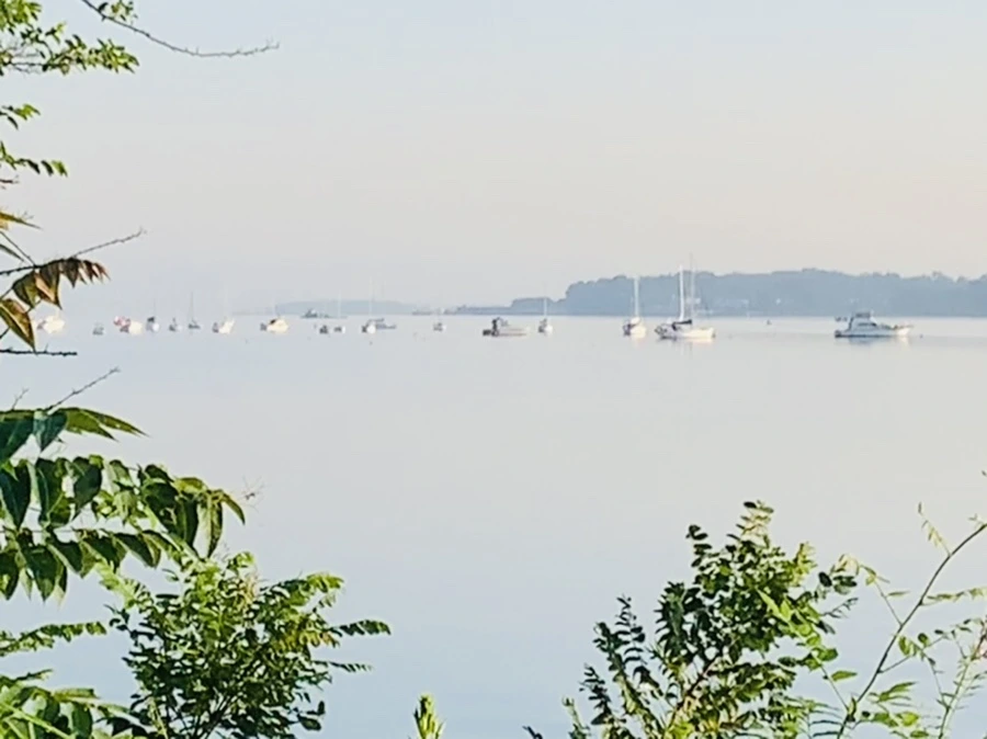 IMG_7431.jpg?type=w966