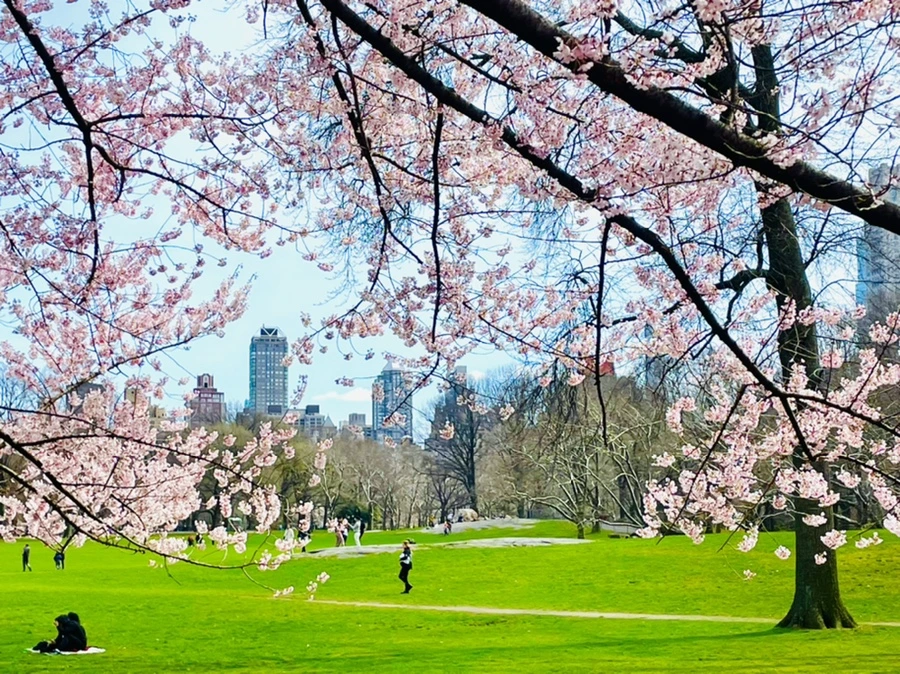 IMG_8795.jpg?type=w966