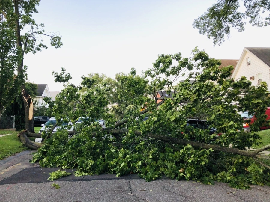 IMG_5838.jpg?type=w966