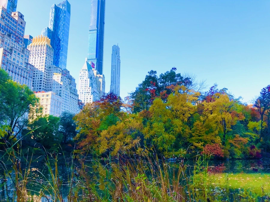 IMG_3764.jpg?type=w966