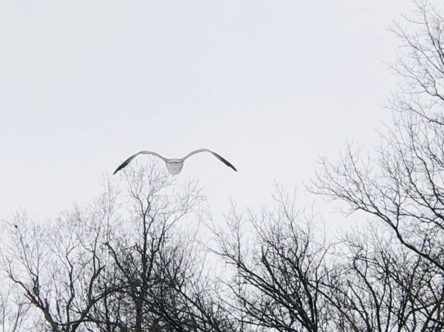 y3SPnwWDF3XlA0eM5tEeuu-AnL8