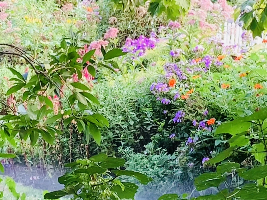 IMG_1243.jpg?type=w966