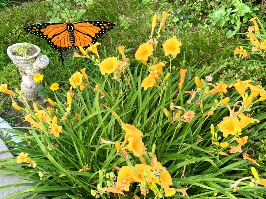 IMG_5922.jpg?type=w966