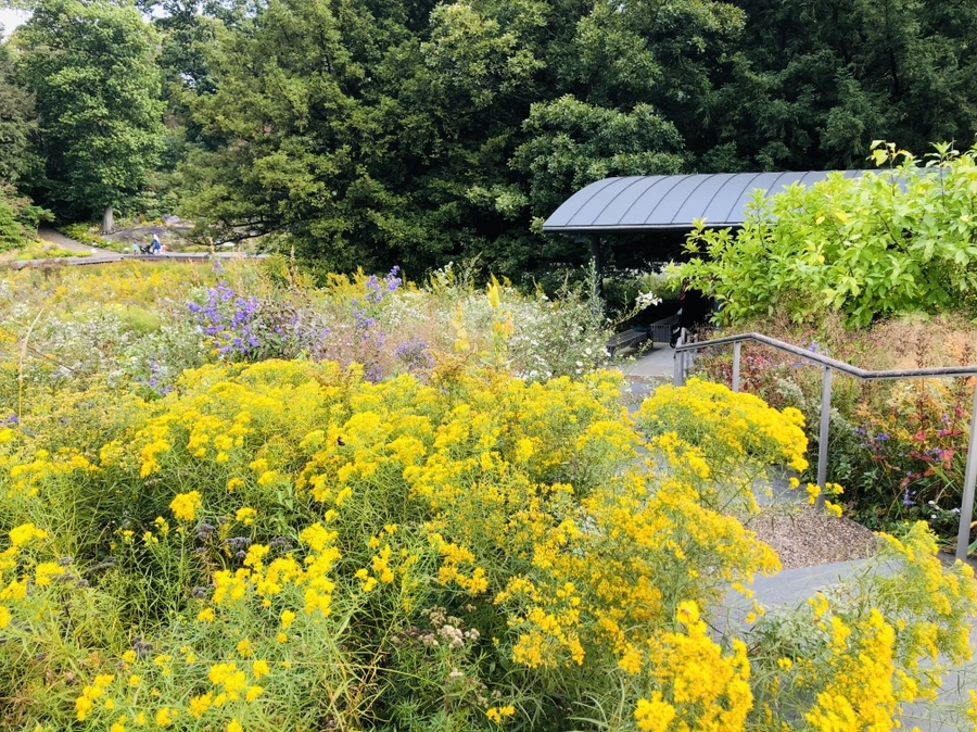 IMG_1598.jpg?type=w966