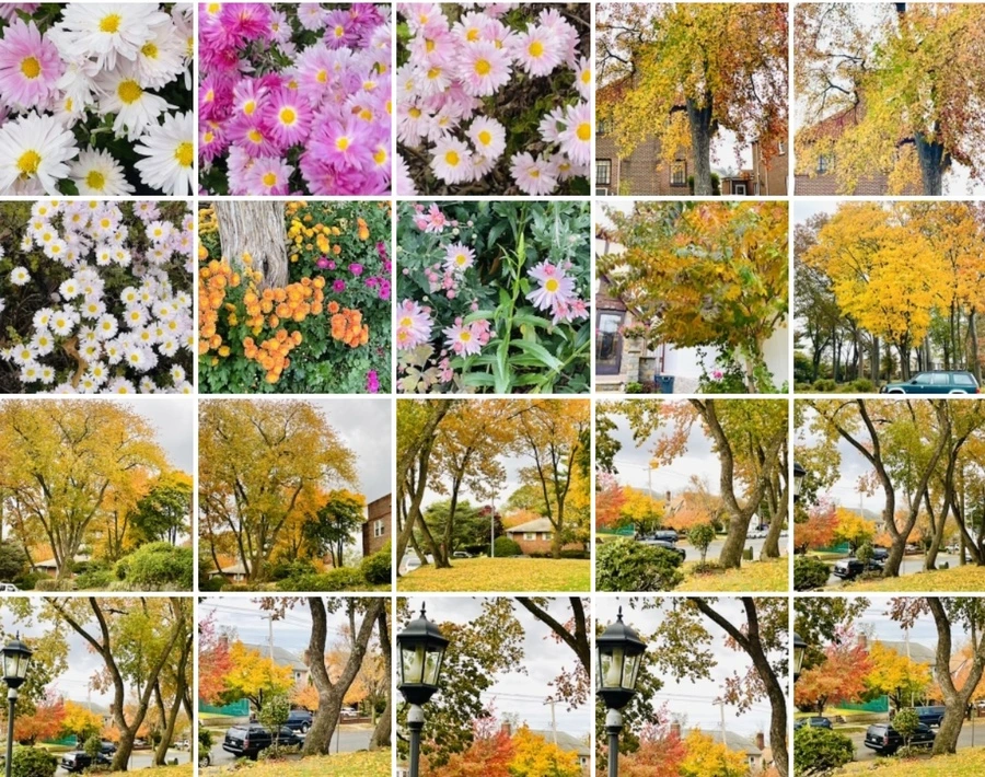 IMG_2515.jpg?type=w966