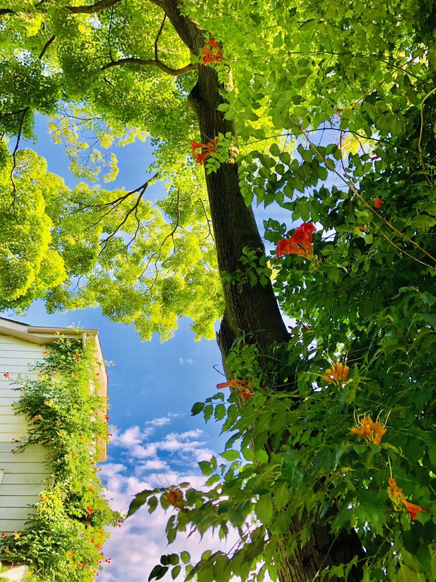 IMG_2126.jpg?type=w966