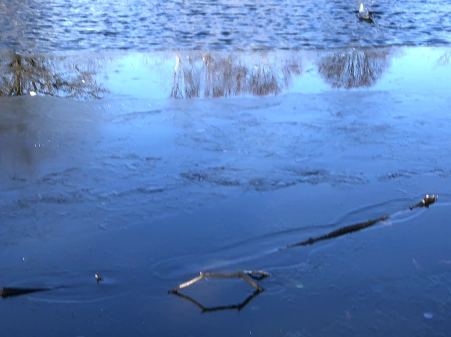 IMG_0524.jpg?type=w966