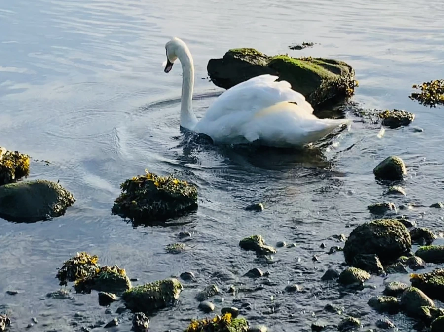 IMG_1475.jpg?type=w966