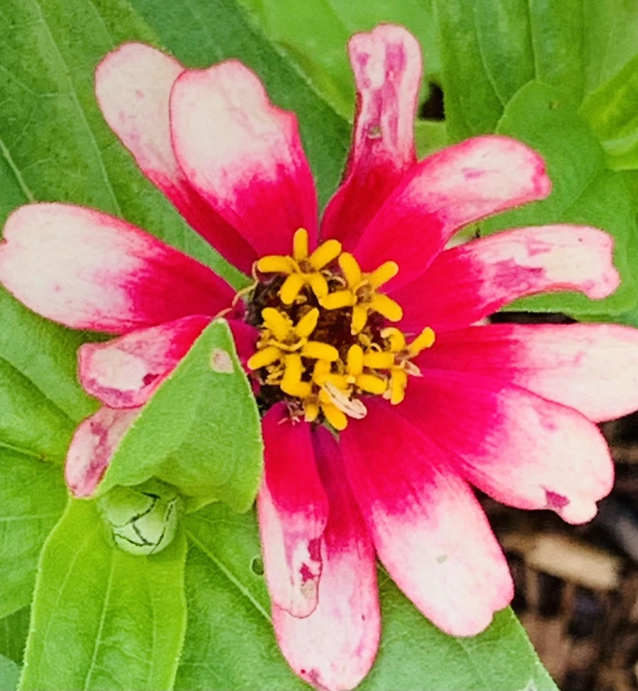 IMG_0483.jpg?type=w966