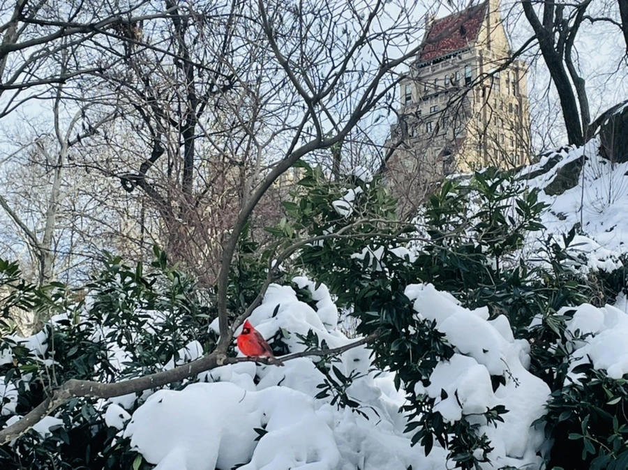 IMG_0929.jpg?type=w966