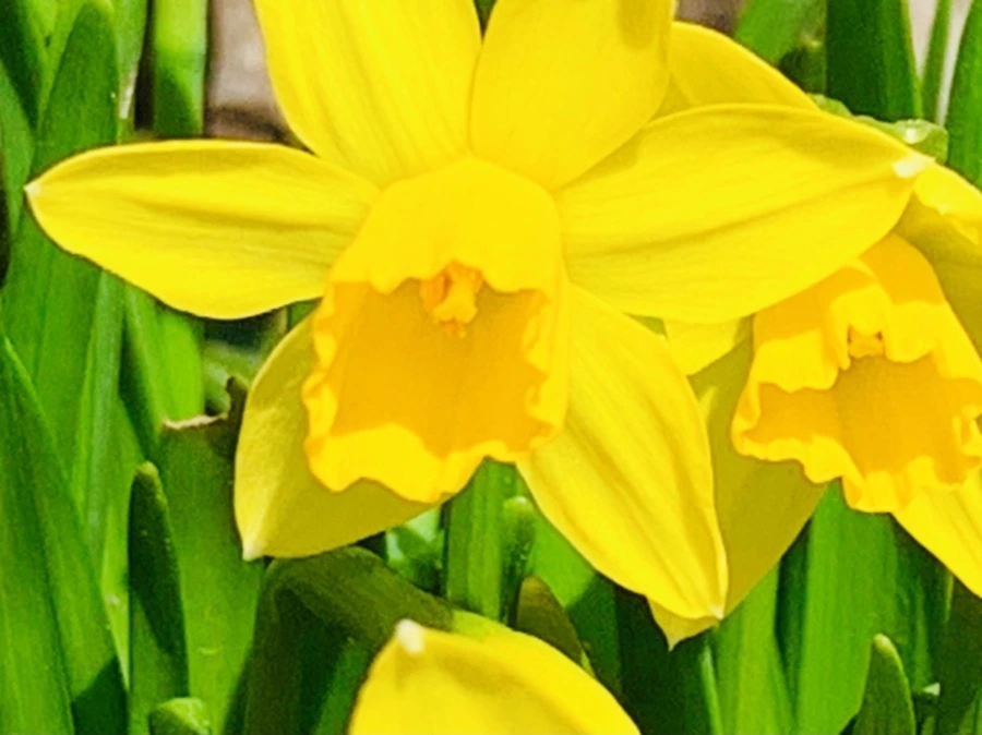 IMG_3405.jpg?type=w966