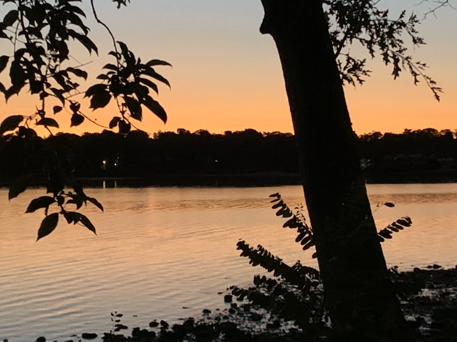 IMG_7379.jpg?type=w966