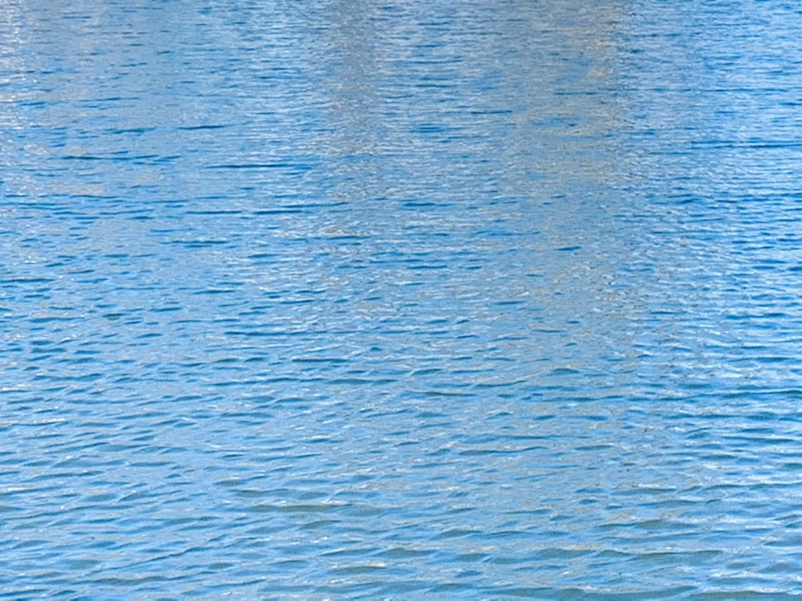 IMG_7623.jpg?type=w966