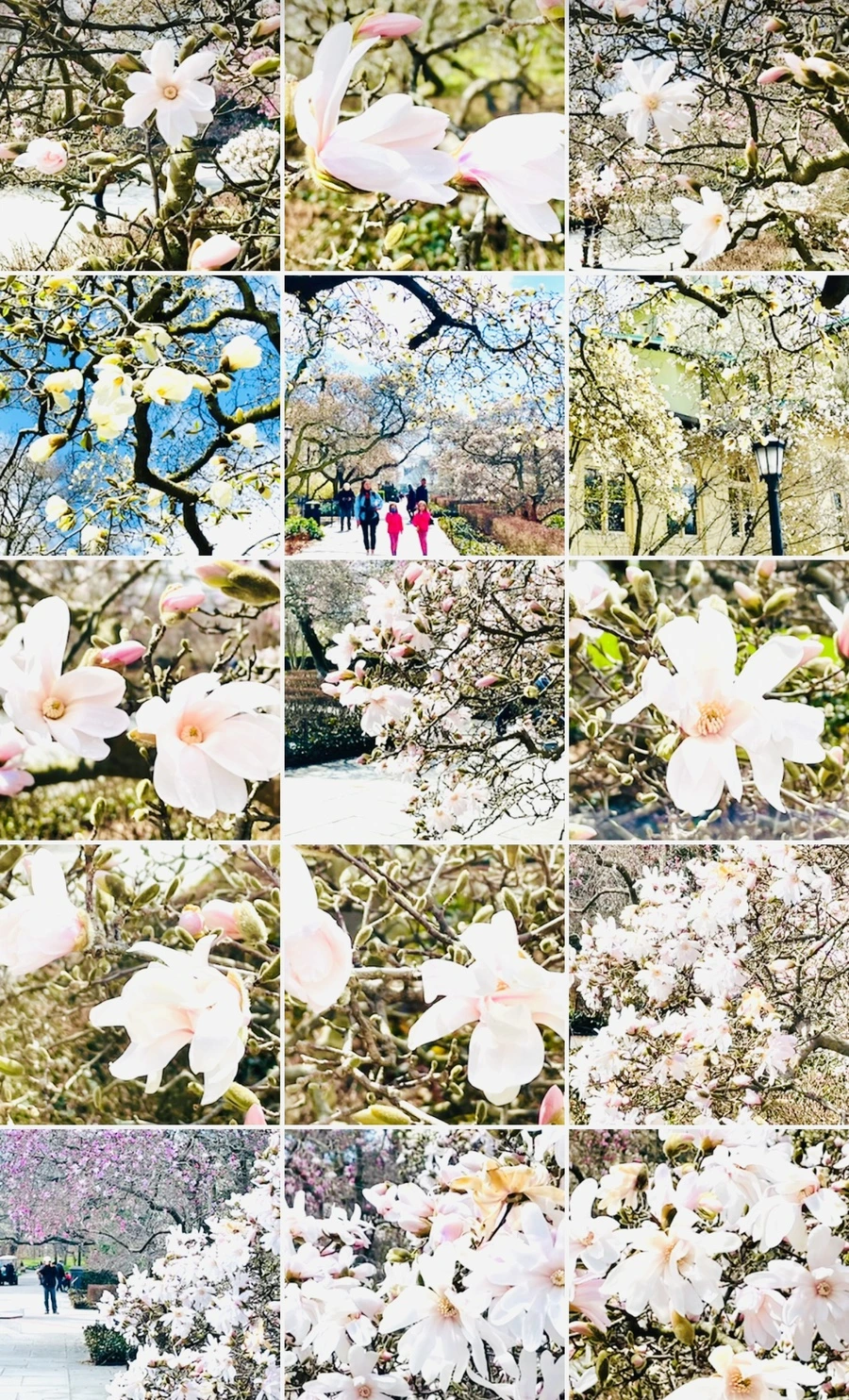 IMG_7294.jpg?type=w966