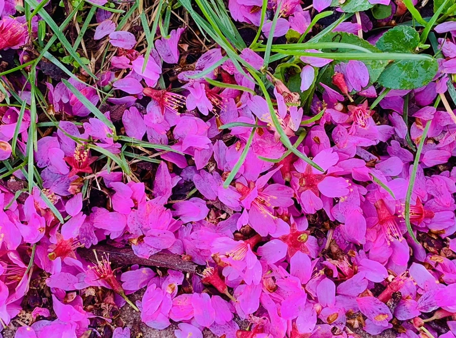 IMG_6272.jpg?type=w966