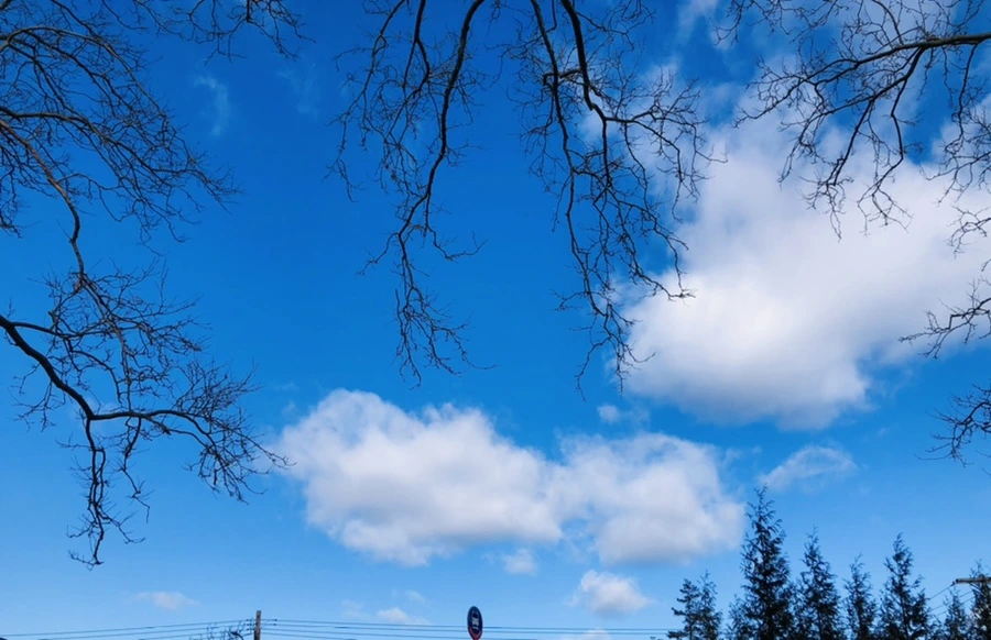 IMG_7562.jpg?type=w966