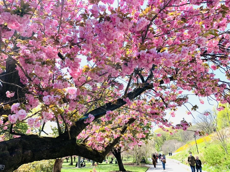 IMG_6494.jpg?type=w966