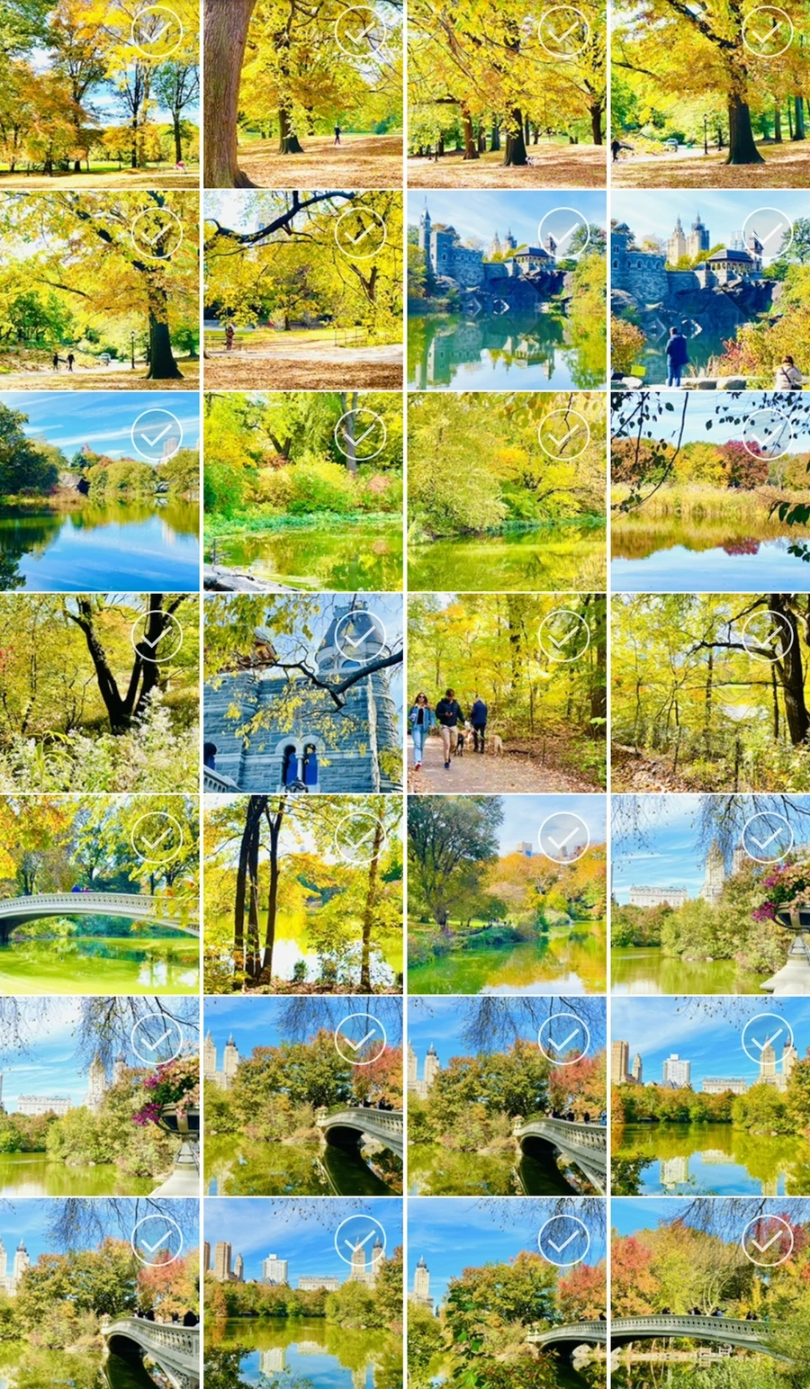 IMG_0426.jpg?type=w966