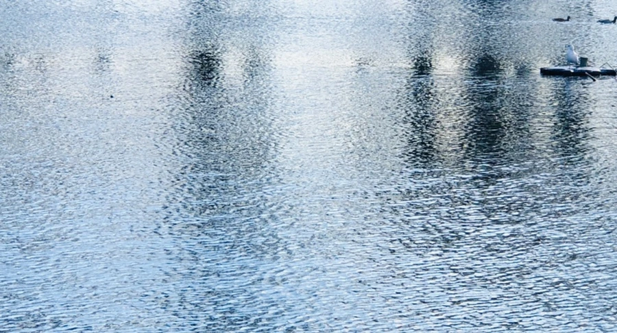 IMG_4209.jpg?type=w966