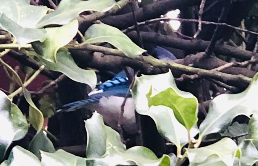 IMG_6338.jpg?type=w966