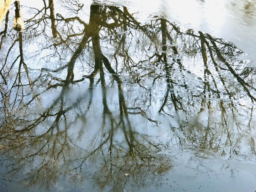 IMG_2247.jpg?type=w966