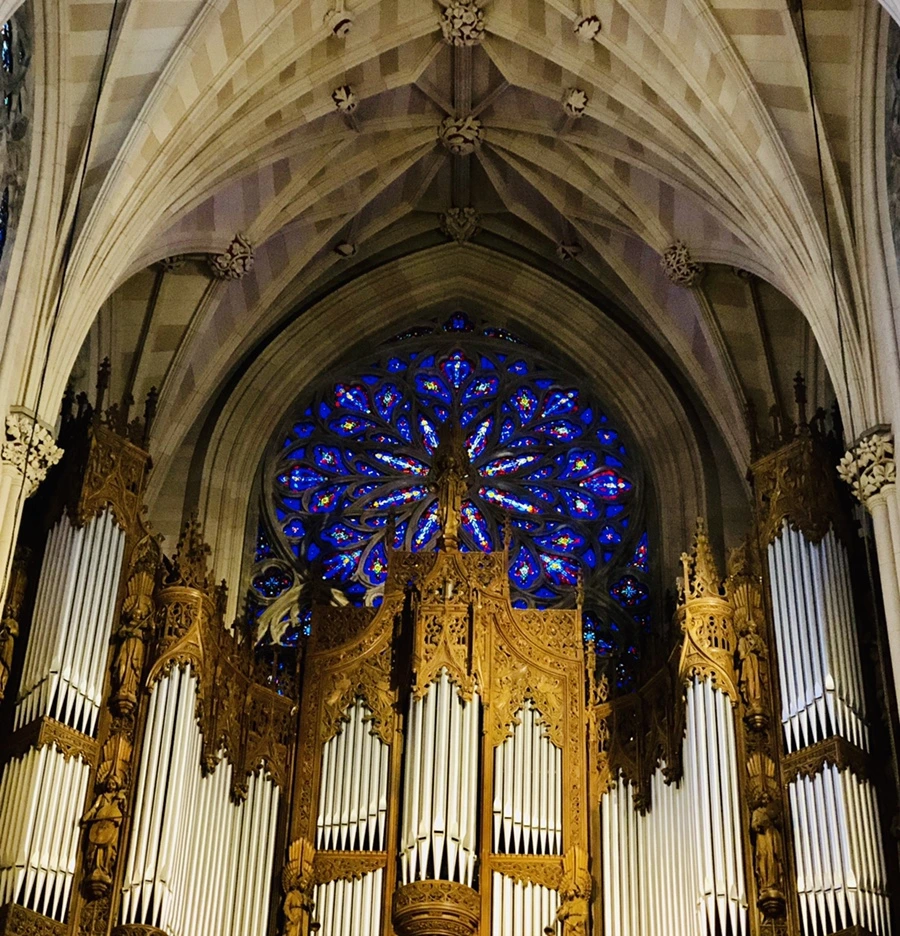 IMG_6093.jpg?type=w966