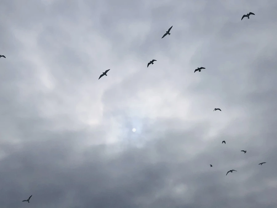 IMG_2121.jpg?type=w966