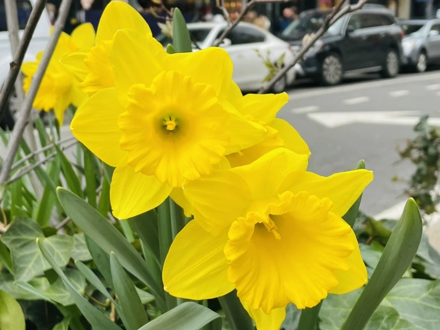 IMG_9649.jpg?type=w966