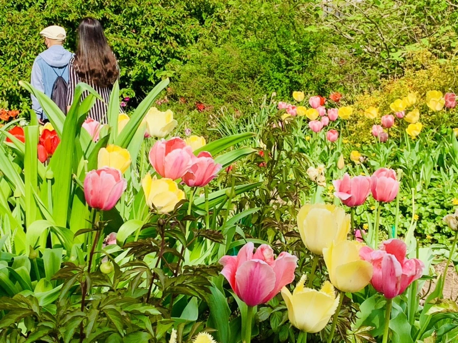 IMG_7040.jpg?type=w966