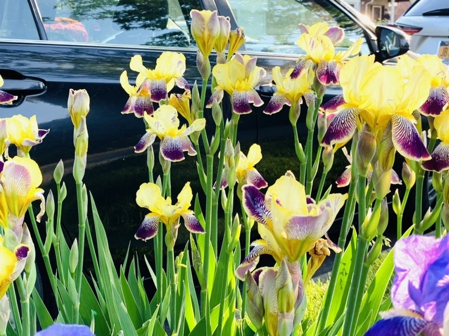 _xEDS1FtG-pUWDaLW6GtfqIhn5g