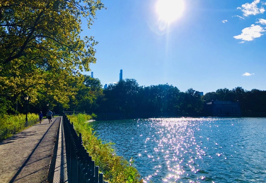 IMG_1705.jpg?type=w966