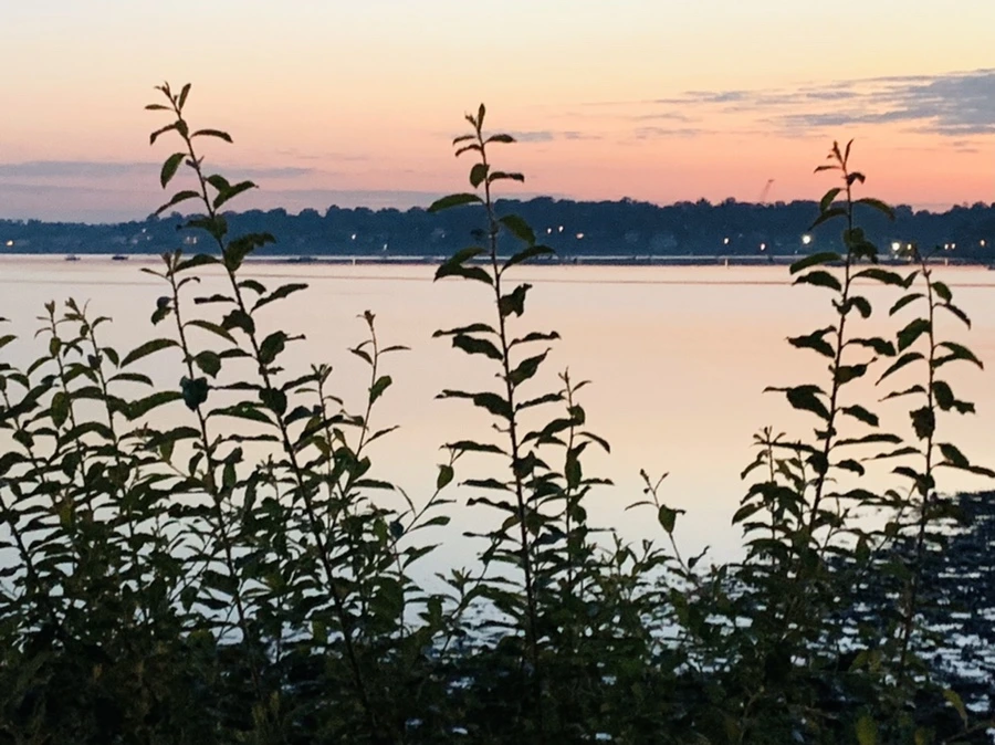 IMG_7017.jpg?type=w966