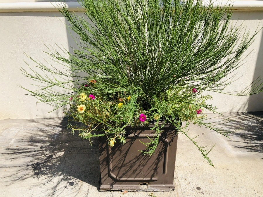 IMG_5491.jpg?type=w966