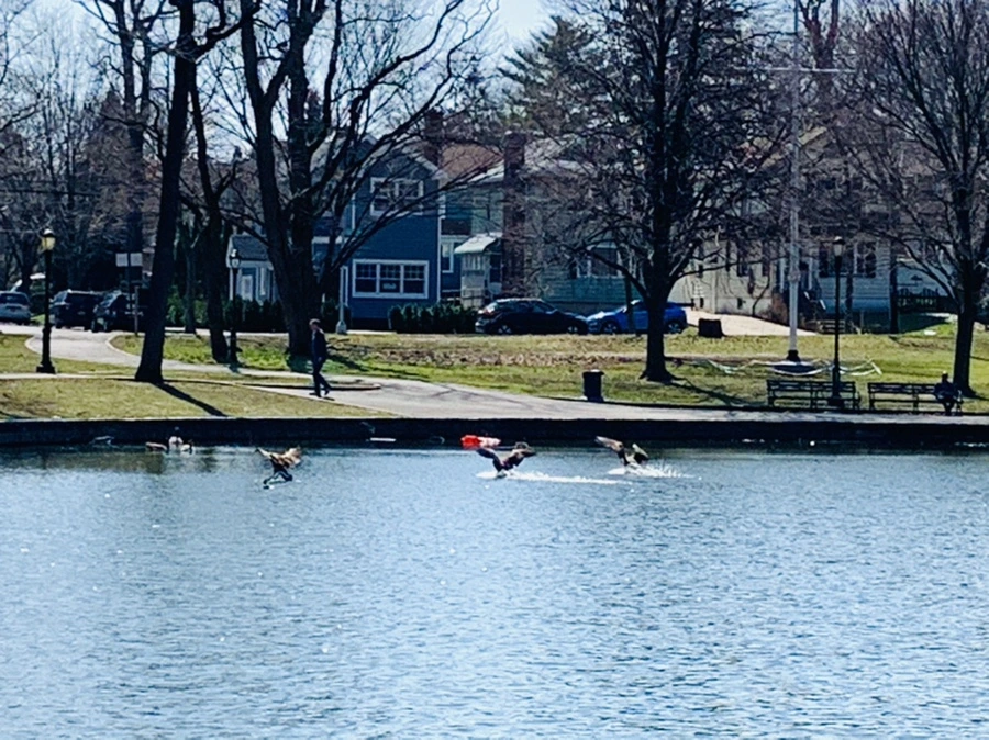 IMG_4482.jpg?type=w966