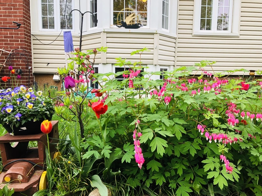 IMG_4048.jpg?type=w966