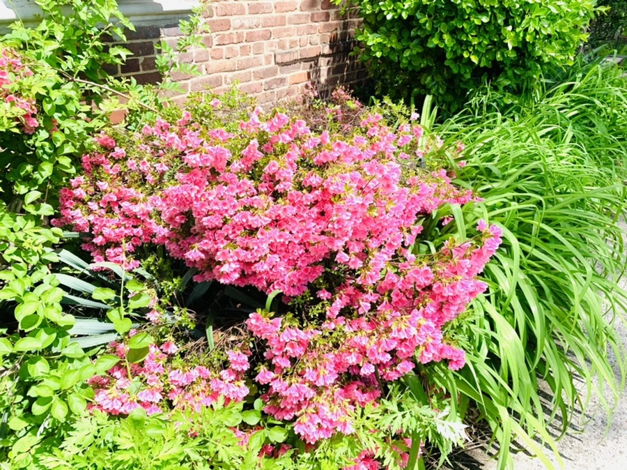 IMG_9521.jpg?type=w966