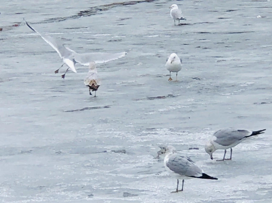 IMG_6347.jpg?type=w966