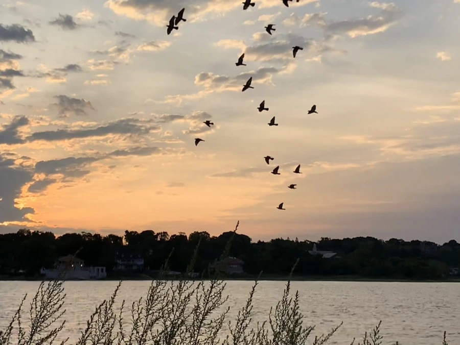 IMG_1723.jpg?type=w966