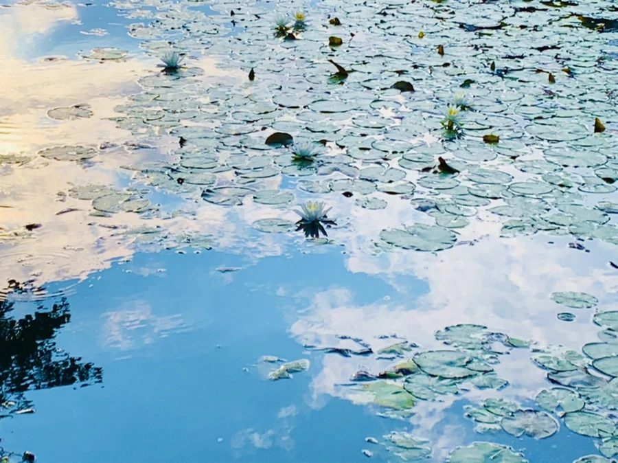 IMG_5859.jpg?type=w966