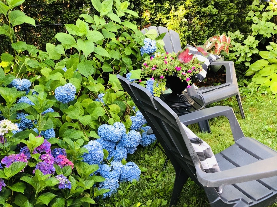 IMG_1495.jpg?type=w966