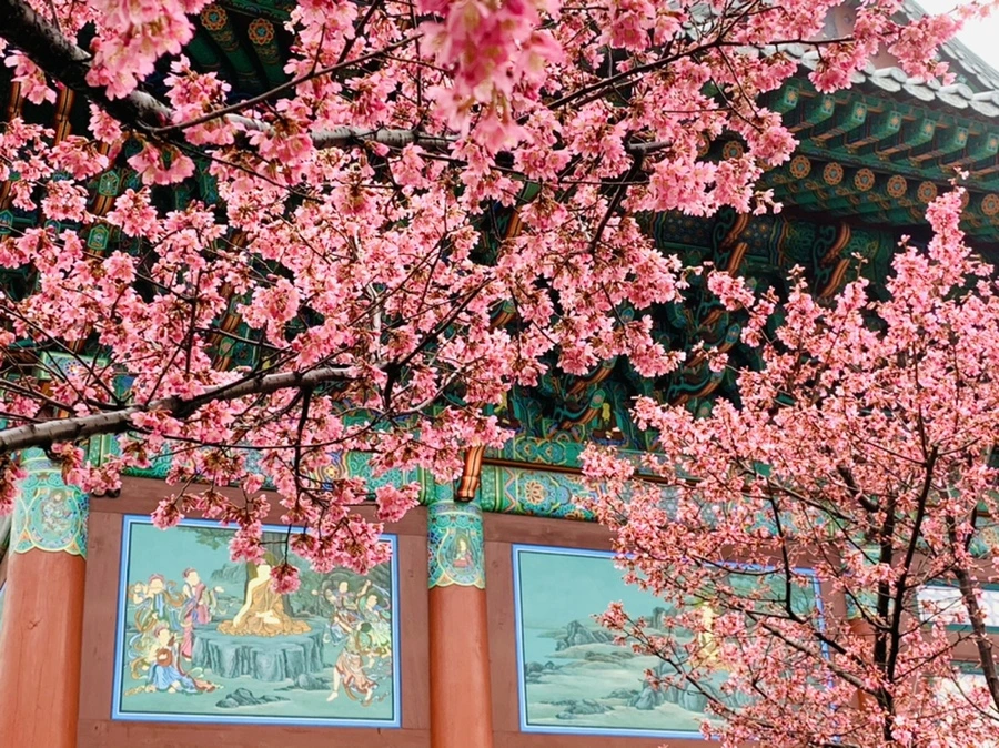 IMG_5218.jpg?type=w966