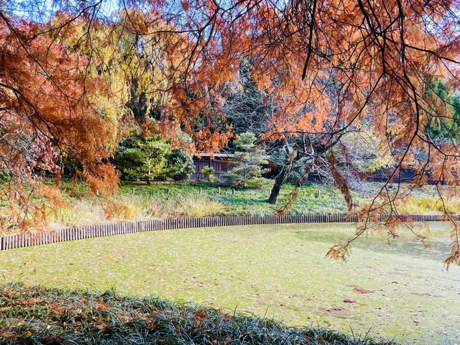 IMG_3074.jpg?type=w966