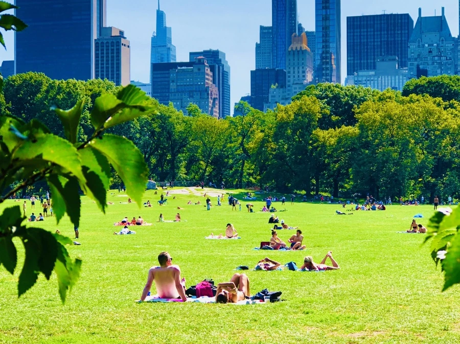 IMG_9355.jpg?type=w966