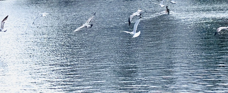 IMG_8023.jpg?type=w966