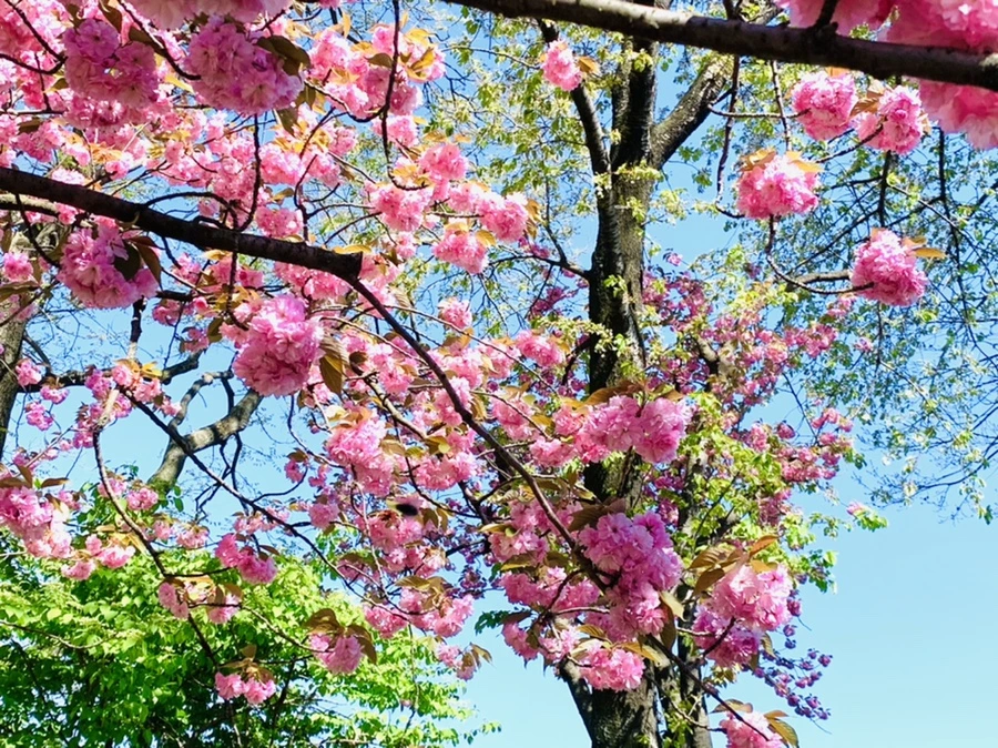 IMG_5841.jpg?type=w966